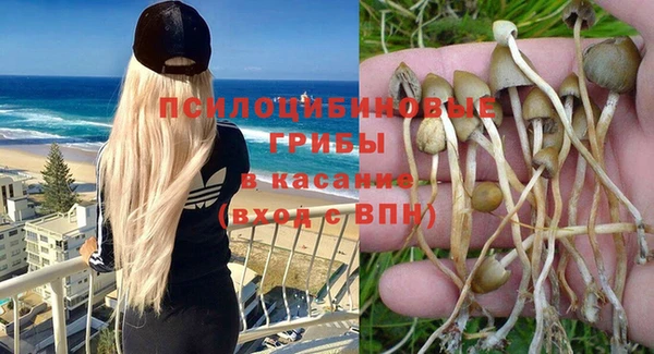 хмурый Баксан