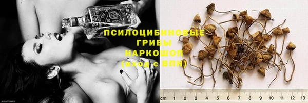 хмурый Баксан