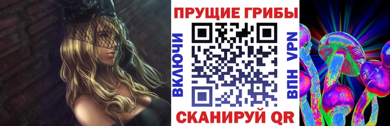 Псилоцибиновые грибы Psilocybe  купить наркоту  кракен   Реж 